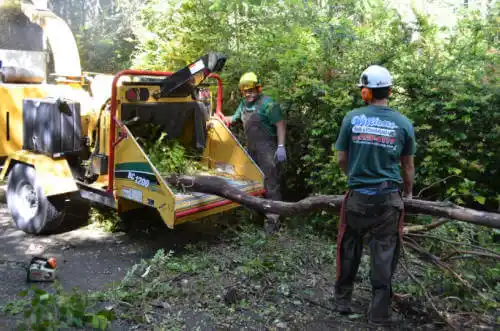 tree services Polk City